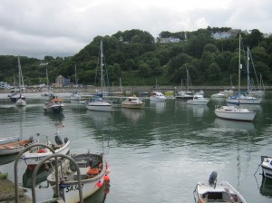 Fishguard rowing race 2012 Fishguard rowing race 2012